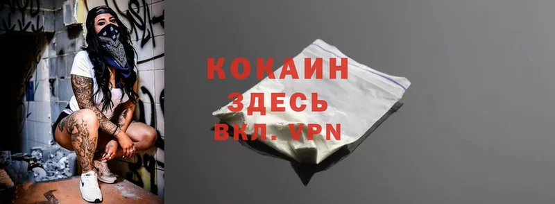 дарнет шоп  ОМГ ОМГ как войти  даркнет телеграм  Рыбное  Cocaine Fish Scale 